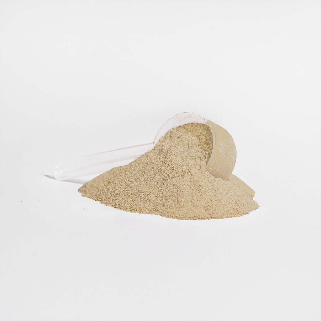 Whey Protein Isolate (Vanilla) | 2lb