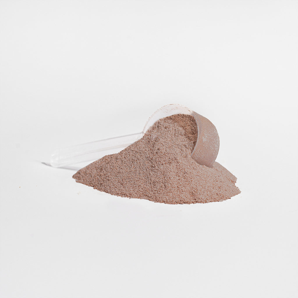 Whey Protein Isolate (Chocolate) | 2lb