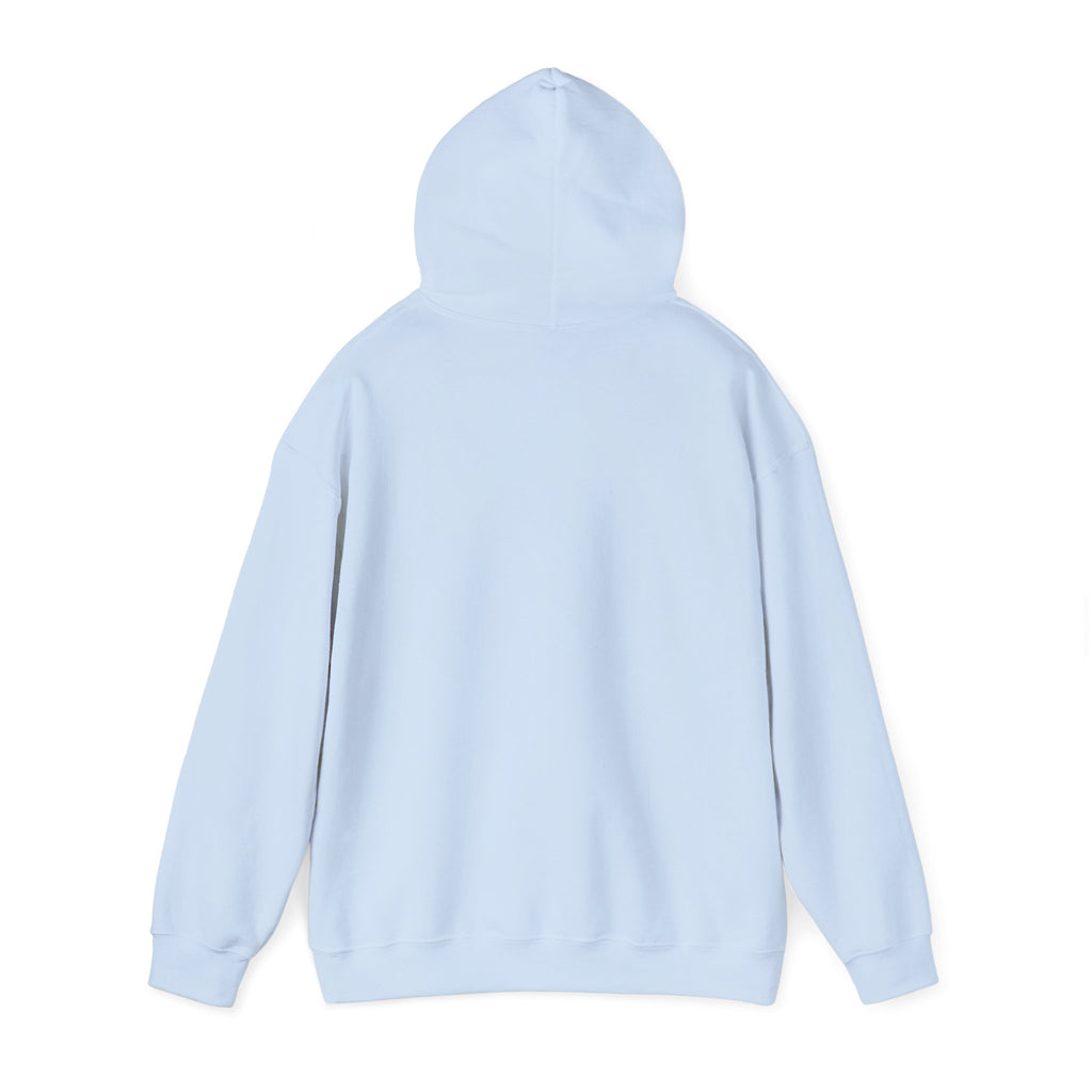 Save the Tennis Players Hoodie | tennis meme apparel, racquet sport humor